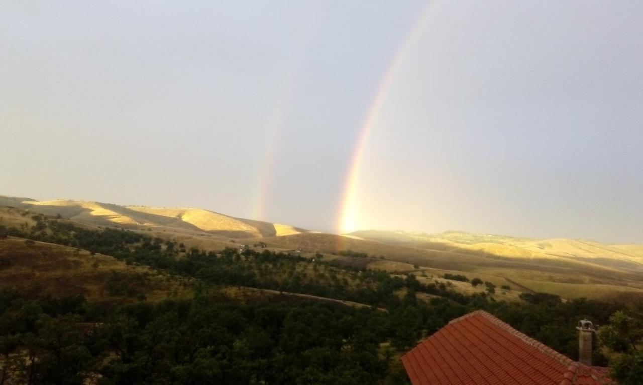 Vila Bliznakinja B Zlatibor Esterno foto